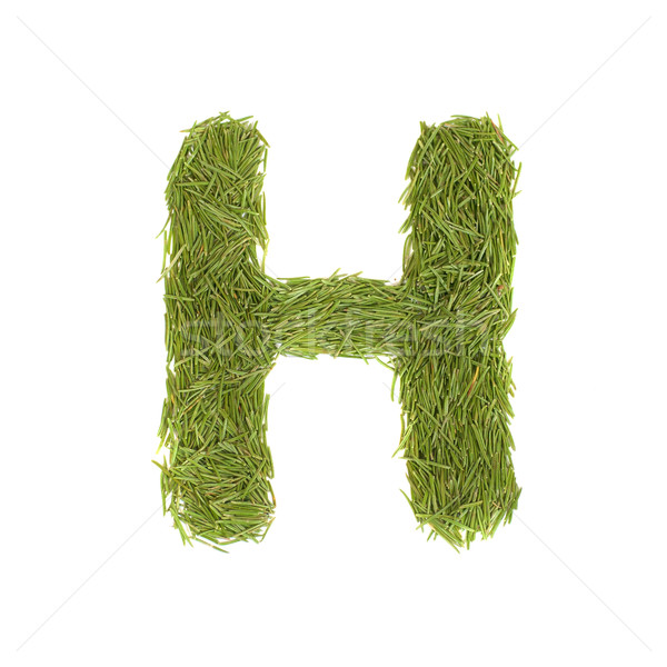 Green alphabet, letter H Stock photo © vapi