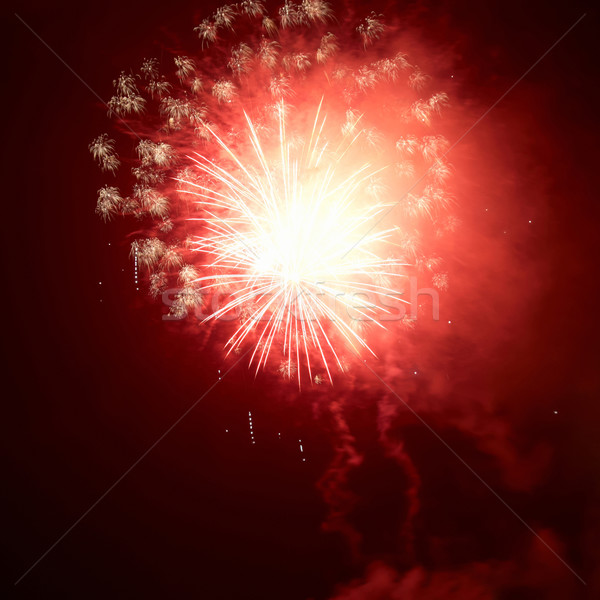 Firework Stock photo © vapi
