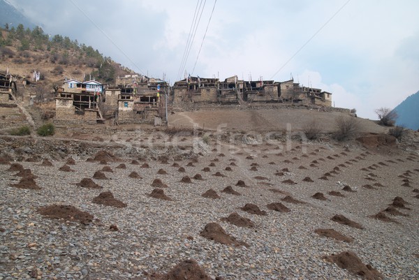 Tibetan village in Himalayan mountain. Stock photo © vapi