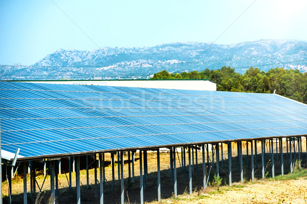 Multe panouri solare produce verde ecologic energie Imagine de stoc © vapi