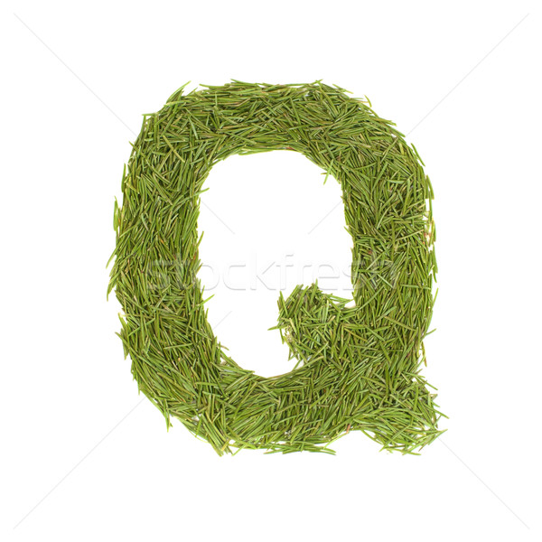 зеленый алфавит буква q изолированный белый весны Сток-фото © vapi