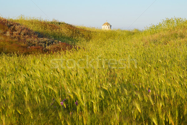 Field of grass and the temple. Antique Chersonesos. Stock photo © vapi