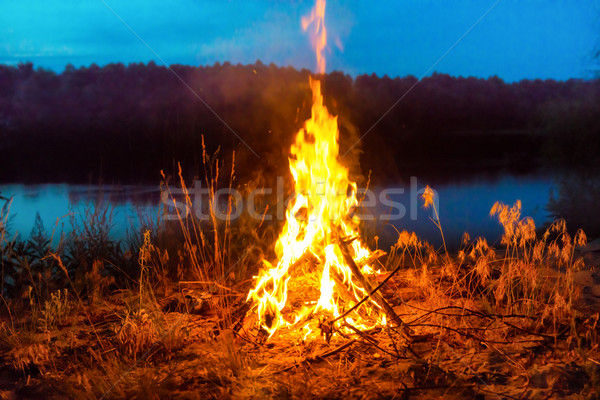 Nagy tábortűz éjszaka erdő sötét kék Stock fotó © vapi