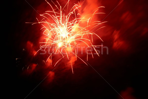 Fireworks, salute. Stock photo © vapi