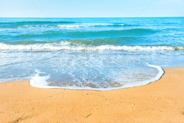 Tropikalnej plaży piasku morza fali plaży niebo Zdjęcia stock © vapi
