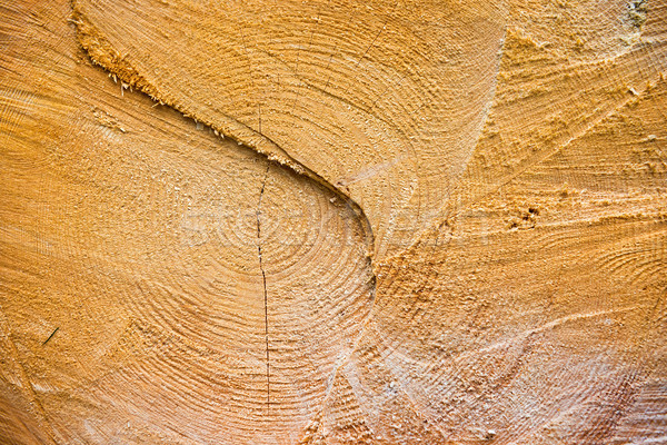 Light yellow cracked wooden texture Stock photo © vapi