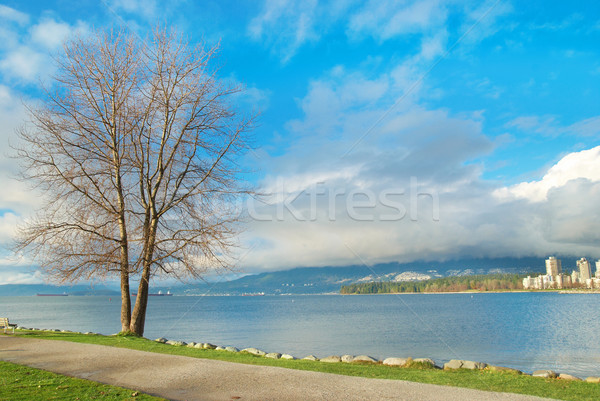 Vert parc mer gratte-ciel Vancouver [[stock_photo]] © vapi