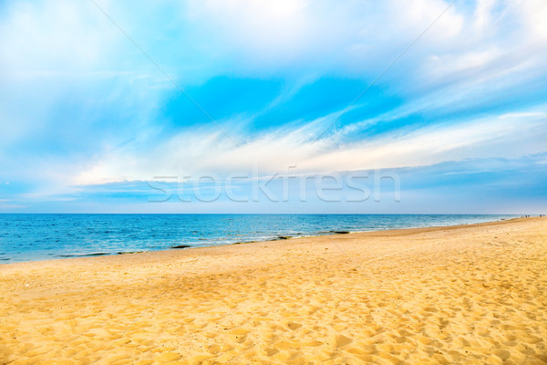 Tropical beach and blue sea with waves Stock photo © vapi