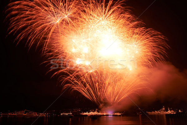 Színes tűzijáték piros fekete égbolt boldog Stock fotó © vapi