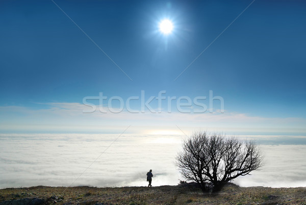 Eenzaam boom wolken Blauw zonnige hemel Stockfoto © vapi