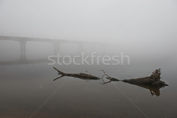Ponte fiume misty mattina grande strada Foto d'archivio © vapi