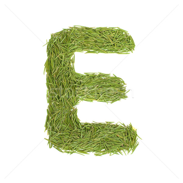 Green alphabet, letter E Stock photo © vapi