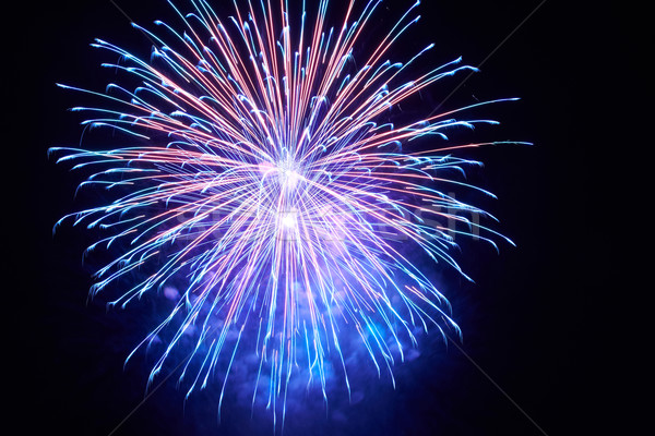 Colorato fuochi d'artificio blu nero cielo felice Foto d'archivio © vapi