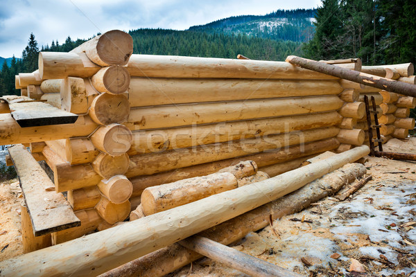 国 木製 家 細部 空 ツリー ストックフォト © vapi