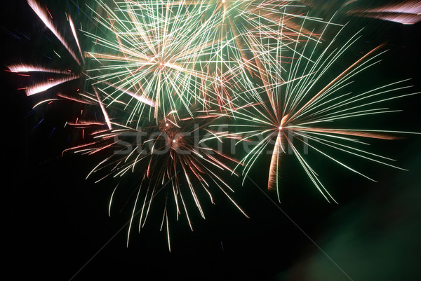 Színes tűzijáték fekete égbolt víz boldog Stock fotó © vapi