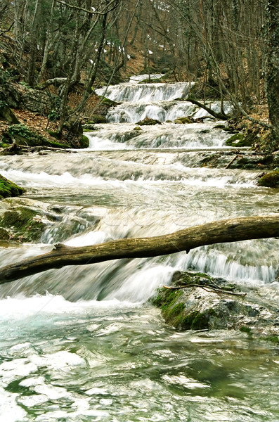 Szybki górskich rzeki jesienią lasu lata Zdjęcia stock © vapi
