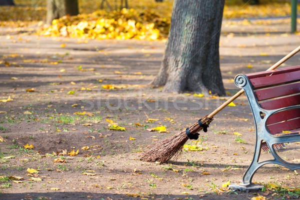 Cleaning in the autumn park Stock photo © vapi