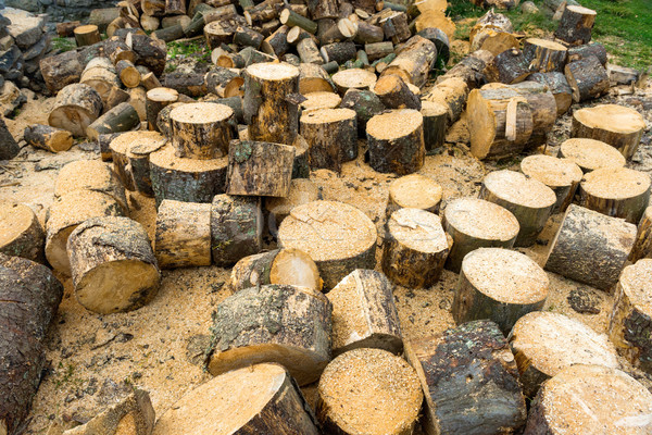 Carvalho textura árvore madeira fundo Foto stock © vapi