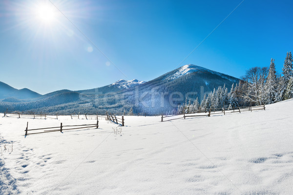 Stok fotoğraf: Kış · manzara · beyaz · alan · kar · çit