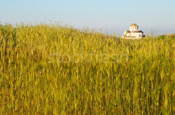 Field of grass and the temple. Antique Chersonesos. Stock photo © vapi