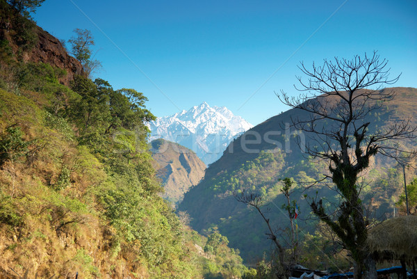 Tibetan mountain's landscape Stock photo © vapi