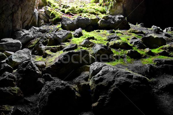 Zdjęcia stock: Wyjście · jaskini · streszczenie · charakter · ramki · zielone