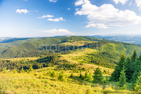Landscape with green sunny hills Stock photo © vapi