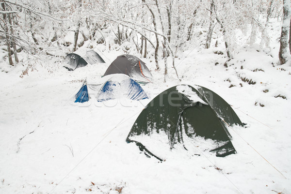 Winter camp in the forest Stock photo © vapi
