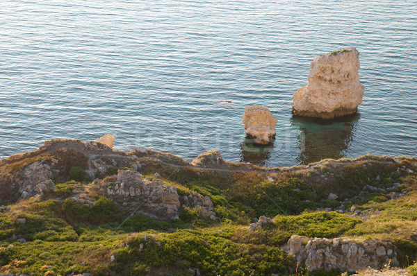 A coastline with many big rocks. Stock photo © vapi