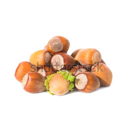 Pile of filbert nuts Stock photo © vapi