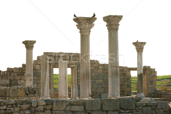 Ancient castle with columns Stock photo © vapi