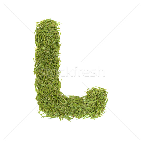 Green alphabet, letter L Stock photo © vapi