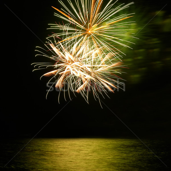Holiday fireworks above lake Stock photo © vapi