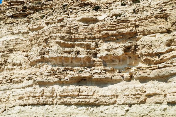 Textuur zandsteen rotsen gezicht bouw muur Stockfoto © vapi