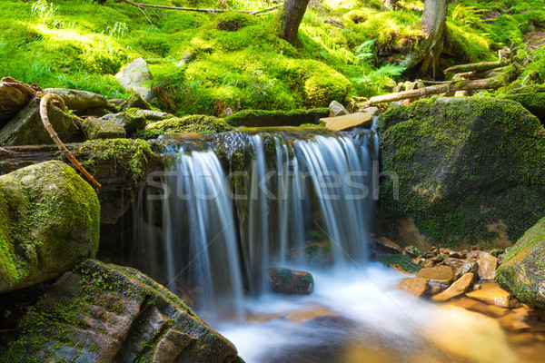 Wasserfall Wald schönen grünen Kaskade Bewegung Stock foto © vapi