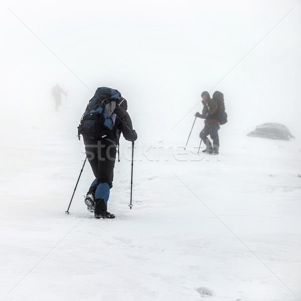 Stock fotó: Hegy · kirándulás · csoport · hóvihar · trekking · mászik