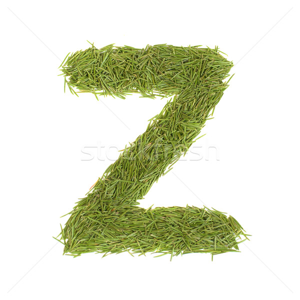 Zielone alfabet pismo z odizolowany biały wiosną Zdjęcia stock © vapi