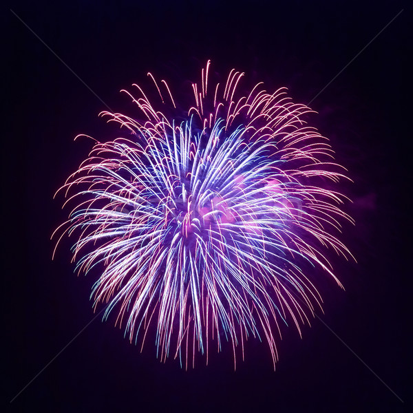Bella fuochi d'artificio nero cielo felice luce Foto d'archivio © vapi