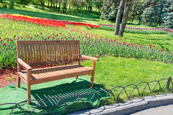 Wooden bench in the park Stock photo © vapi