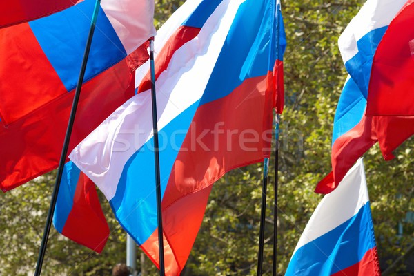 Russian flags Stock photo © vapi