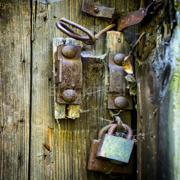 Wooden door with old lock Stock photo © vapi