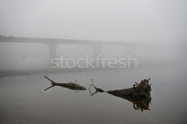 Pont rivière misty matin grand route [[stock_photo]] © vapi