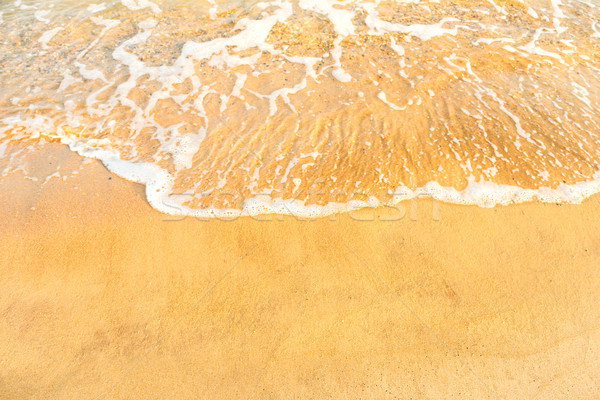 Beach sand and ocean wave Stock photo © vapi