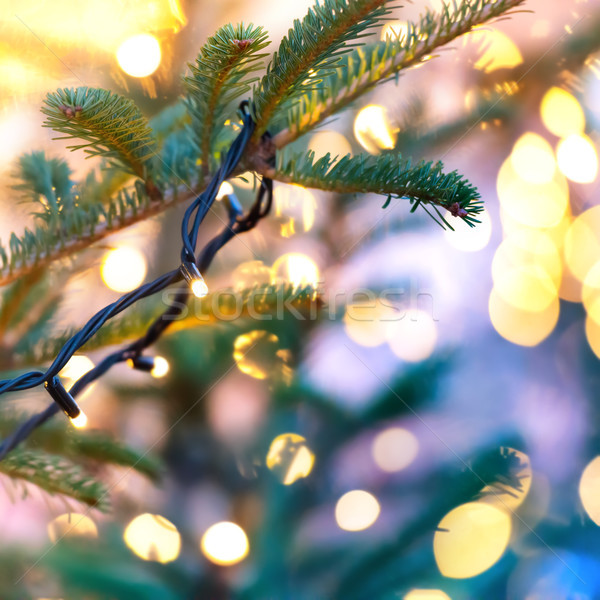 Holiday garland on christmas tree Stock photo © vapi