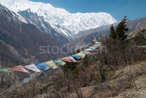 Rezando banderas montanas Nepal alto Foto stock © vapi