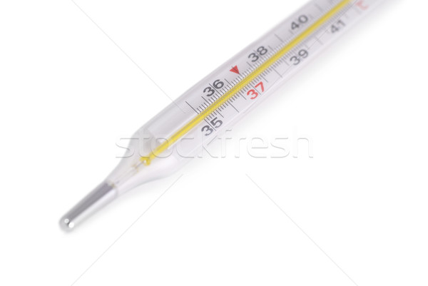 Medizinischen Thermometer isoliert weiß Glas Gesundheit Stock foto © vapi