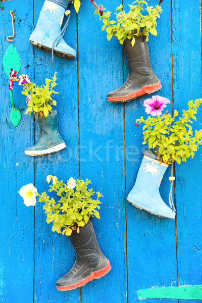 Stockfoto: Oude · bloemen · kinderen · zomerbloemen