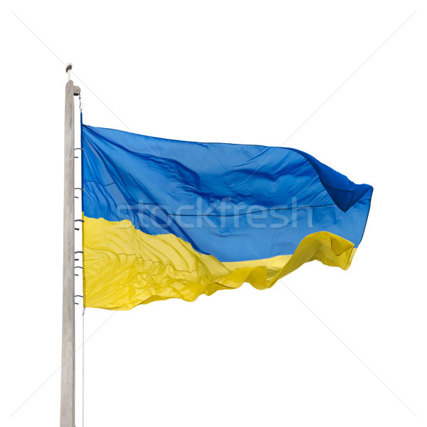 Ukrainian flag Stock photo © vapi