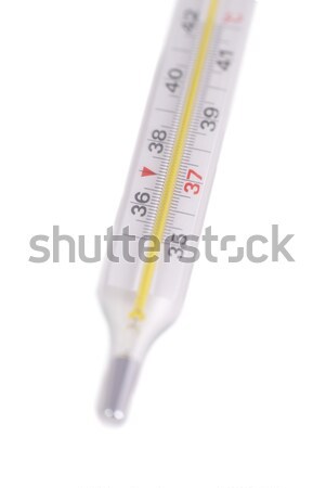 Medycznych termometr odizolowany biały zdrowia tle Zdjęcia stock © vapi
