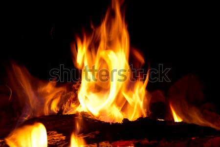 костер пламени черный аннотация ночь красный Сток-фото © vapi